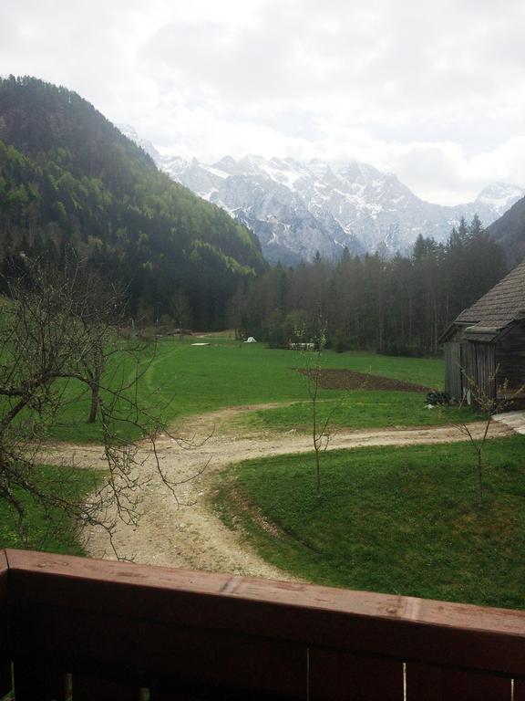 Farm Stay Juvanija Solčava Buitenkant foto
