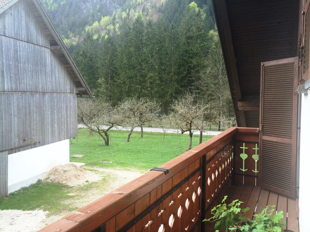 Farm Stay Juvanija Solčava Buitenkant foto