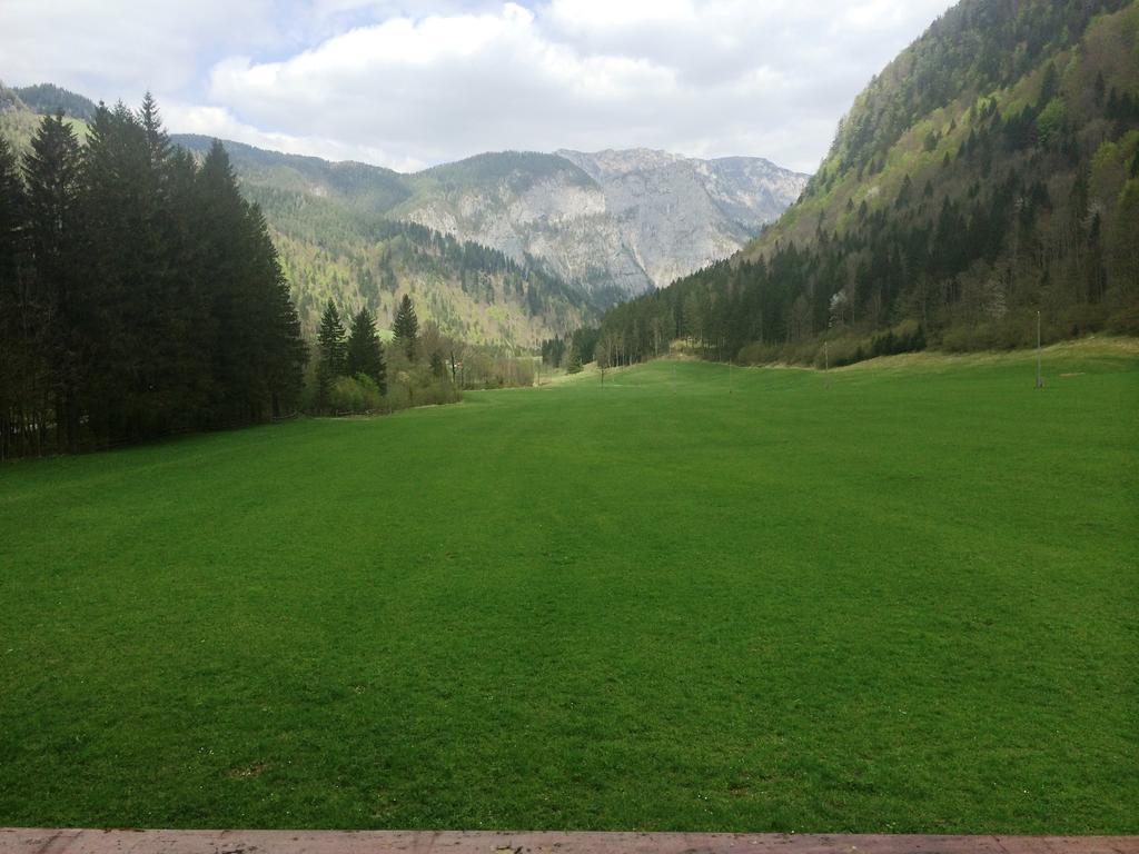 Farm Stay Juvanija Solčava Buitenkant foto