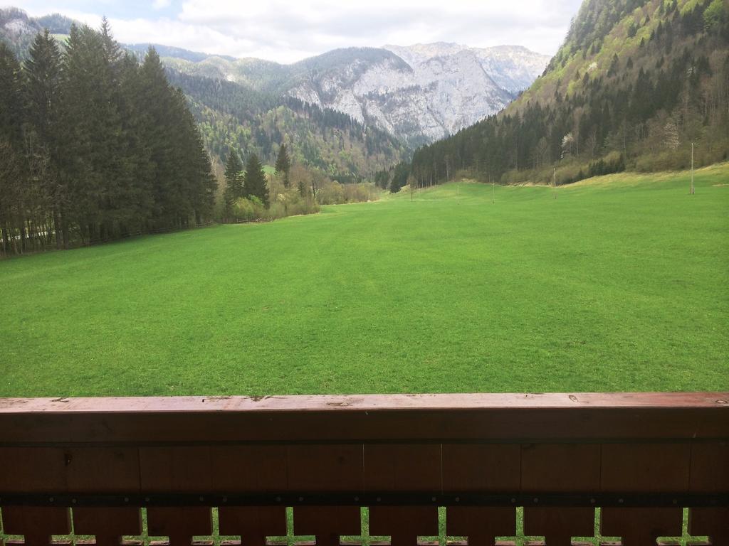 Farm Stay Juvanija Solčava Buitenkant foto