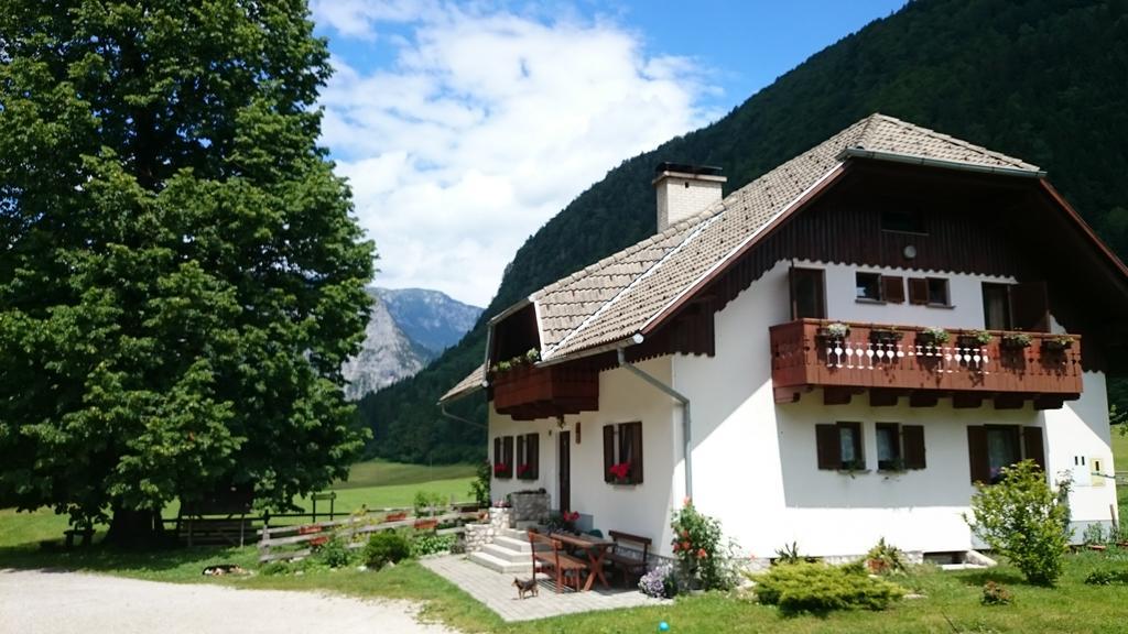 Farm Stay Juvanija Solčava Buitenkant foto