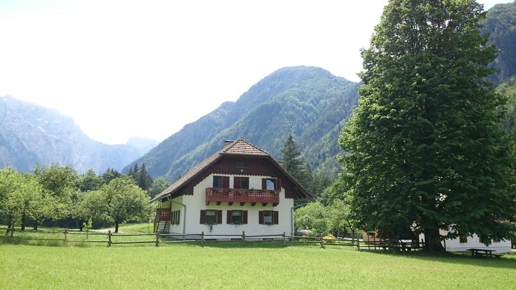 Farm Stay Juvanija Solčava Buitenkant foto