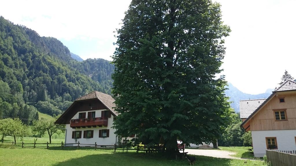 Farm Stay Juvanija Solčava Buitenkant foto