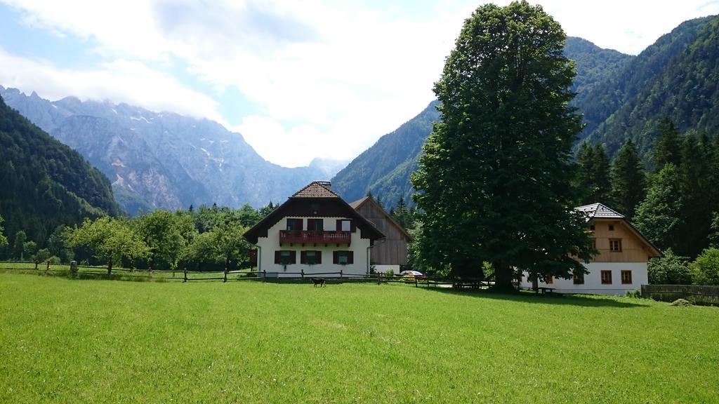 Farm Stay Juvanija Solčava Buitenkant foto