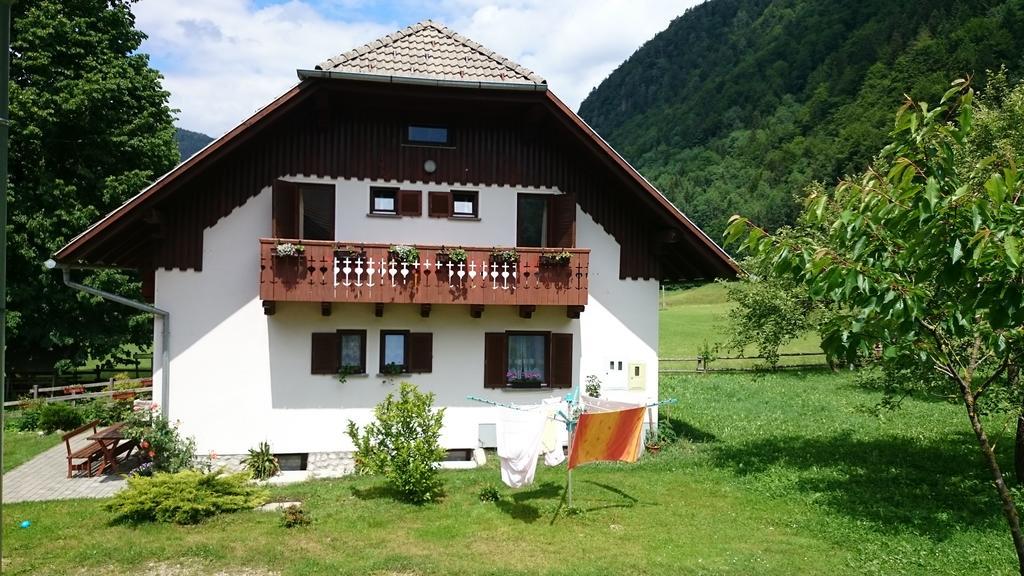 Farm Stay Juvanija Solčava Buitenkant foto